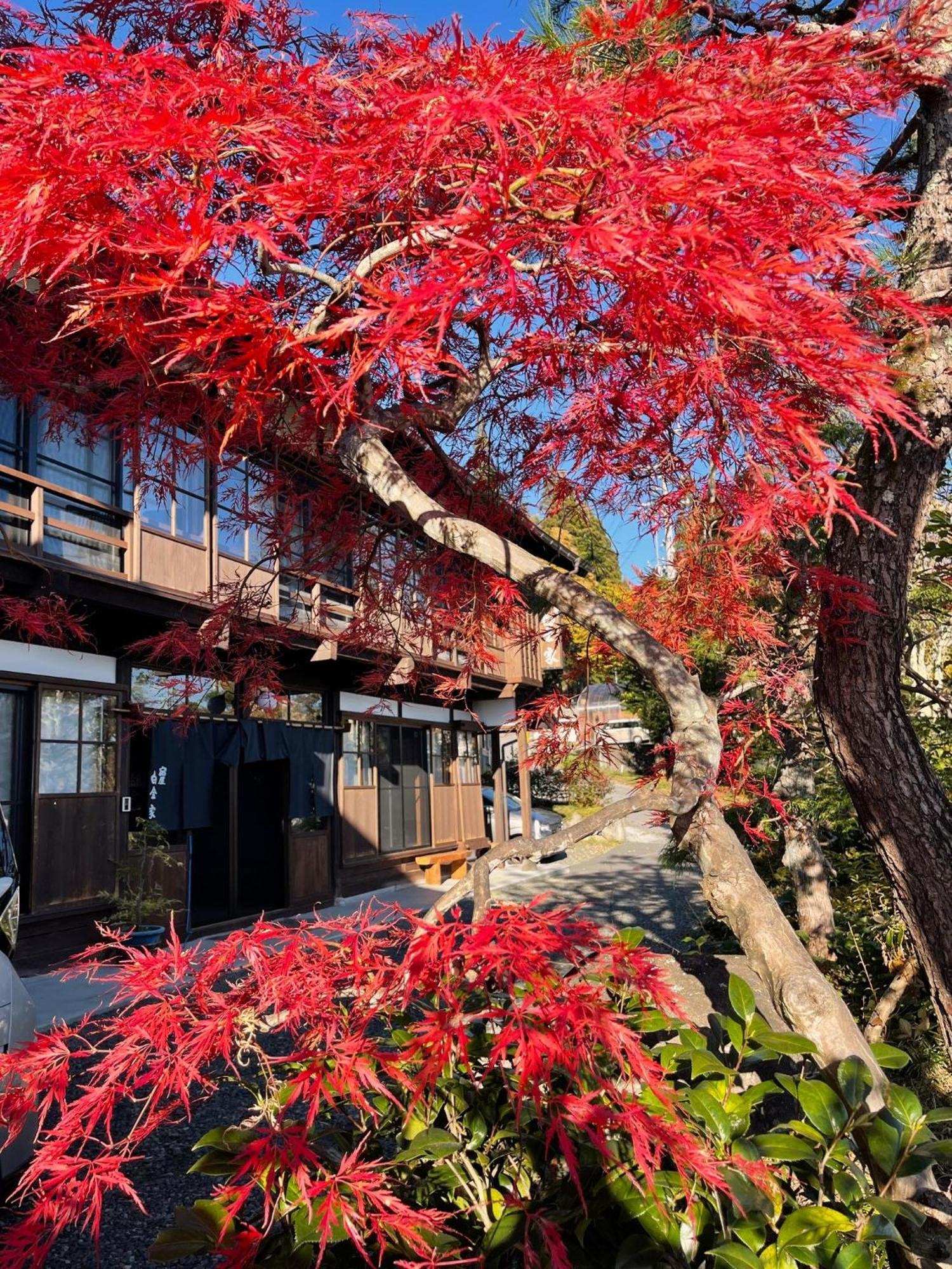 宿屋白金家 Yadoya-Shiroganeya 1日1組限定2名から8名様まで 全館貸切り 伝統的建造物の旅籠宿 Traditional Culture Experience Nagano Luaran gambar